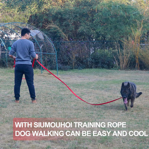 Dog/Puppy Obedience Recall Training Agility Lead - 15 ft, 20 ft, 30 ft, 40 ft, 50 ft Long Leash for Training