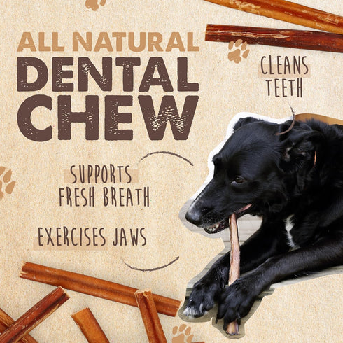 (6" 10 Pack) Mighty Paw Naturals Bully Sticks for Small & Medium Dogs - Grass Fed Beef Chews. Bully Sticks for Large