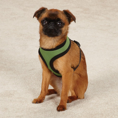 Mesh Dog Harness, X-Small, Green