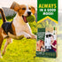 Beloved Pets Chicken Jerky Dog Treats, 11 OZ, All Natural, Grain Free, High Protein Meat Chews for Dogs