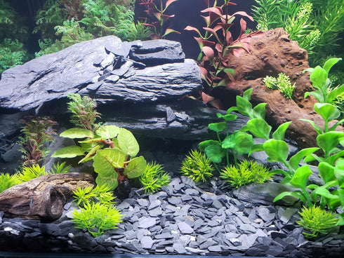 Small World Slate & Stone Aquarium Gravel, 6lbs Natural Substrate for Aquascaping Freshwater and Saltwater