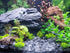Small World Slate & Stone Aquarium Gravel, 6lbs Natural Substrate for Aquascaping Freshwater and Saltwater