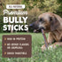 12" Mighty Paw Long Lasting Bully Sticks for Dogs - All Natural Grass Fed Beef Chews. Lower Odor Dog Bully Sticks