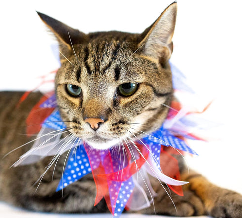 Midlee Medium Patriotic Dots Dog Collar for 4th of July