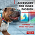 WAUDOG Nylon Dog Collar, Adjustable for Large, Small & Medium Dogs, Breakaway Puppy Collars