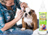 Dog Ear Cleanser with Natural Aloe Vera for Cleaning (8oz/240ml)