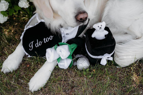ZippyPaws Wedding Dog Toys - Bouquet of Roses, Fun Engagement Toys for Dog Couples, Great for Photos and Rehearsals