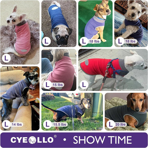 cyeollo 2 Pack Fleece Dog Sweater, Stretchy Pullover Soft Jacket with Reflective Stripe for Small Dogs Grey & Blue