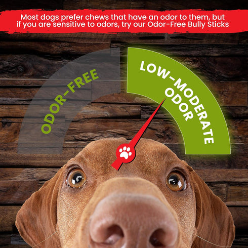 Sancho & Lola's Bully Sticks for Dogs - 12-inch Thin (10 Count) - Grass-Fed, Grain-Free, High Protein Chews