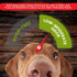 Sancho & Lola's Bully Sticks for Dogs - 12-inch Thin (10 Count) - Grass-Fed, Grain-Free, High Protein Chews