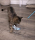 SmartyKat Frisky Flyer Feather Wand Cat Toy - Extendable Up to 24", Blue