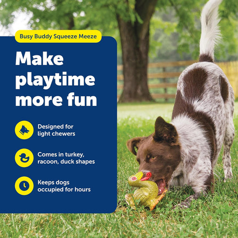 PetSafe Busy Buddy Squeeze Meeze - Fun Turkey Latex Dog Toy for Light Chewers