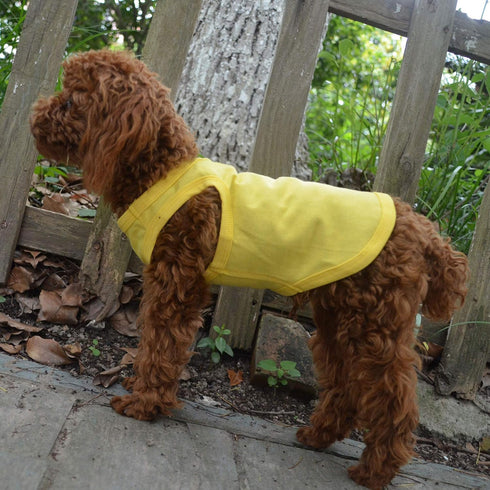 2018 Pet Clothes Dog Clothing - Classic Blank T-shirt Tanks Top Vests for Small, Medium, Large Dogs (XXXXL, Yellow)