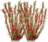 Large Aquarium Plastic Plants, Tall Aquarium Plants for Fish Tanks Decor, 21.26" Height (Red Green, 2pcs)