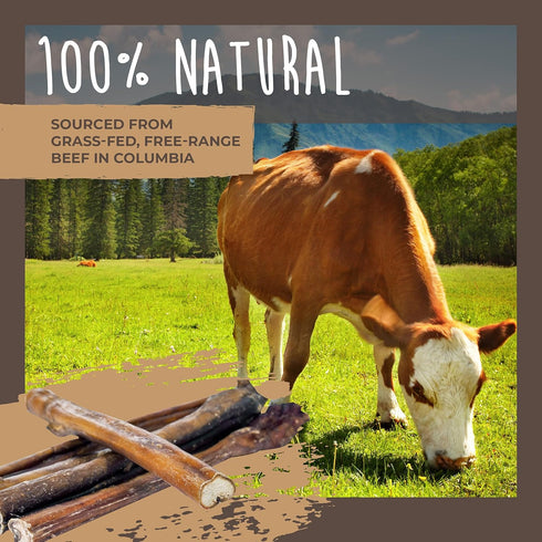 Mighty Paw Naturals Bully Sticks for Dogs - 12" Grass Fed Beef Chews, Lower Odor, 5 Pack for Large, Medium & Small