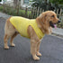 2018 Pet Clothes Dog Clothing - Classic Blank T-shirt Tanks Top Vests for Small, Medium, Large Dogs (XXXXL, Yellow)