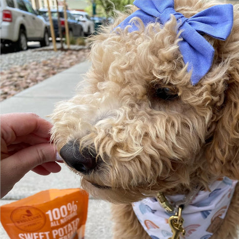 Wholesome Pride 100% All-Natural Sweet Potato Bites Dog Treats, 8 oz