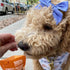 Wholesome Pride 100% All-Natural Sweet Potato Bites Dog Treats, 8 oz