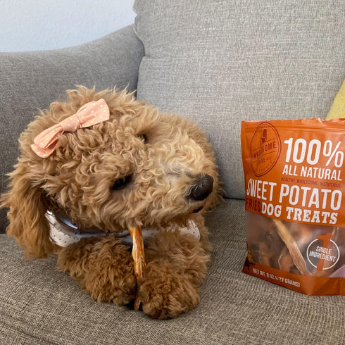 100% 8 oz (Pack 2) Wholesome Pride Sweet Potato Fries All-Natural Single Ingredient Dog Treats