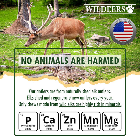Wildeers Large Split Antlers for Dogs, 3-Pack, Made in USA, Grade A Elk Chews for Medium & Large Breeds, 7-9 in Long