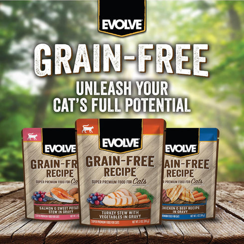 Evolve Grain Free Turkey Stew Wet Cat Food with Veggies in Gravy | 24 pk - 3 oz