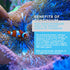 300-g Potassium Powder for Marine Fish and Reef Saltwater Aquariums, Continuum Aquatics Reef Basis