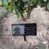 JFHEDY 16"x 8" (16 8) Grave Marker Stand for Stones, Memorial Stones for Loved One x