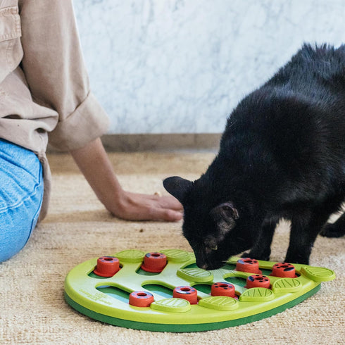 16 13in 9.5in Catstages Nina Ottosson Buggin' Out Puzzle & Play Interactive Cat Puzzle Feeder for Indoor Cats, Hidden