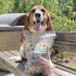 (3" 16 OZ) Dog Chews Beef Trachea Dog Treat Chew Made in USA. Grass Fed Farm-Raised American Beef. Glucosamine Rich