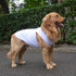 2018 Pet Clothes Dog Clothing - Classic Blank T-shirt Tanks Top Vests for Small, Medium, Large Dogs (XXXL, White)