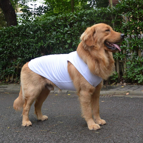 2018 Pet Clothes Dog Clothing Blank T-shirt Tanks Top Vests for Dogs - 100% Cotton Summer Vest (XL, White)