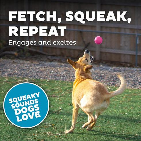 Outward Hound Orbee-Tuff Squeak Ball - Pink Dog Fetch Toy