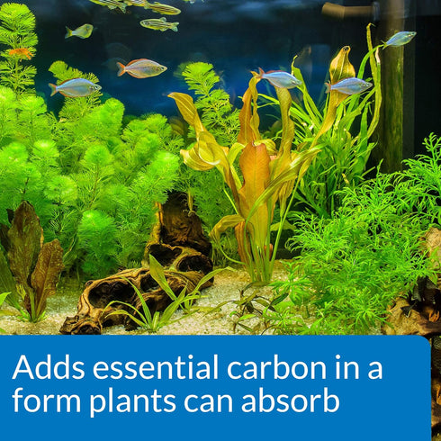 API Co2 Booster Freshwater Aquarium Plant Treatment – 16 oz Bottle