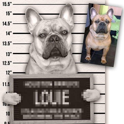 Dog Mugshot Custom Pet Mugshot, Personalized Gift for Your Dog, Cat or Pet