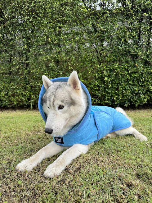 800 Tuff Pupper Fast Drying Dog Bath Robe | GSM Plush Dog Towel Bathrobe/Dressing Gown | Super Absorbent Pet/Puppy
