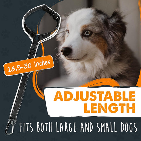 Mighty Paw Dog Seat Belt For Car Headrest - Distraction Free Driving, Heavy-Duty Aviation Grade Aluminum Carabiner