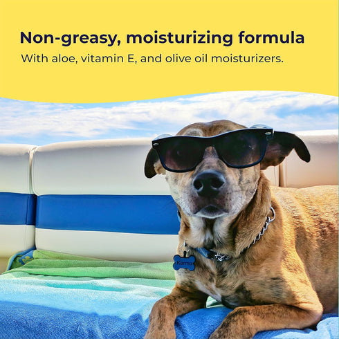 Dog Sunscreen - SPF 30+ with Skin Moisturizing Vitamin E and Olive Oil, Safe for All Dogs and Cats, Dog Beach