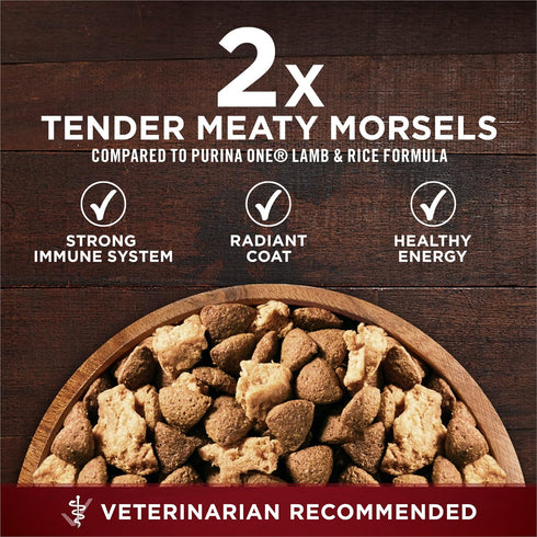 (Pack 4) 3.8 lb. Purina ONE Natural High Protein Dry Dog Food Dry True Instinct with Real Beef and Salmon With Bone