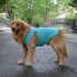 2018 Pet Clothes Dog Summer Vest - Classic Blank T-shirt Tanks for Small, Medium & Large Dogs, 100% Cotton (S,