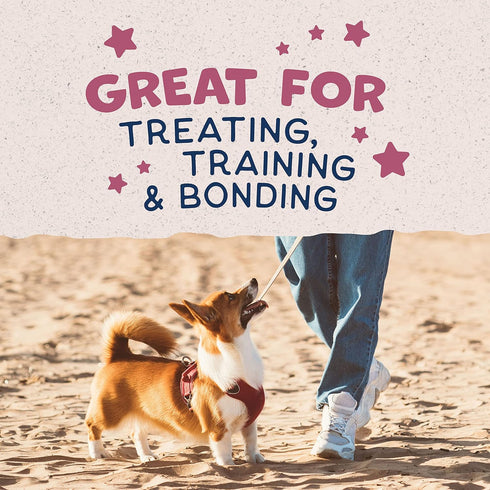 Natural Balance Limited Ingredient Rewards Crunchy Biscuits, Grain-Free Dog Treats for Small-Breed Dogs, Real Venison,