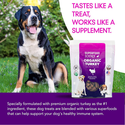 Organic Dog Treats for All Breeds, Semi-Soft Turkey Dog Training Jerky Snack Bites, 5 oz