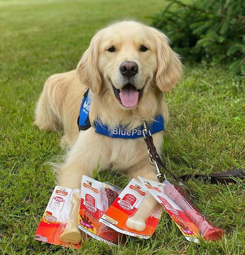 Nylabone Original Bone Power Chew Toy for Dogs, Large, Durable & Tough for Aggressive Chewers