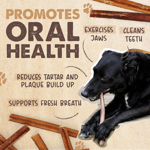 12" Mighty Paw Long Lasting Bully Sticks for Dogs - All Natural Grass Fed Beef Chews. Lower Odor Dog Bully Sticks