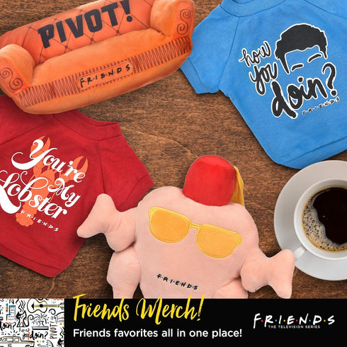 Friends TV Show T-Shirt in Blue | Soft, Machine Washable Pull-Over, Large for Large Dogs