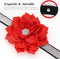 Pet Artist Cute Girl Rhinestone Suede Dog Collar for Small Dogs Cats, Bling Bowtie Collar, XS: Neck 7.5-10" (19-25cm)