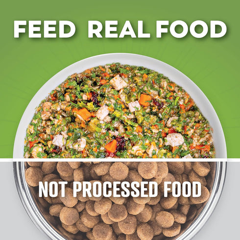 Dr. Harvey's Chicken & Garden Veggies Dog Food, Human Grade Whole-Grain Dehydrated Dog Food, 5.5 Ounces