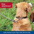 Water & Woods Braided Rope Snap Dog Leash - Green, Durable Comfortable Pet Leash with Classic Swivel Snap