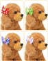PET SHOW 10Pcs 2" Dot Small Dogs Hair Bows, French Clips, Yorkie Bowknot Barrette Clips for Medium Dogs