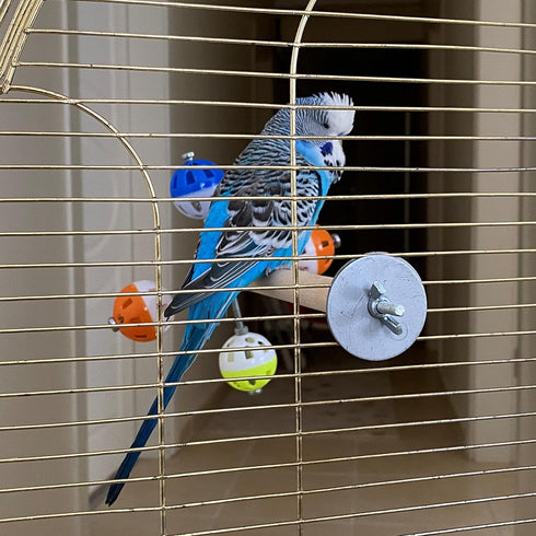 PERSONALIZED Perch Toy with Rotating Balls for Birds, Budgies, Budgerigars, Parakeets, Parrots, Cockatiels, Parrotlets