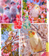 Magnoloran 2 80in Pcs Bird Diapers Bird Harness Flight Suits Diapers with Flying Leash Reusable Parrot Nappy